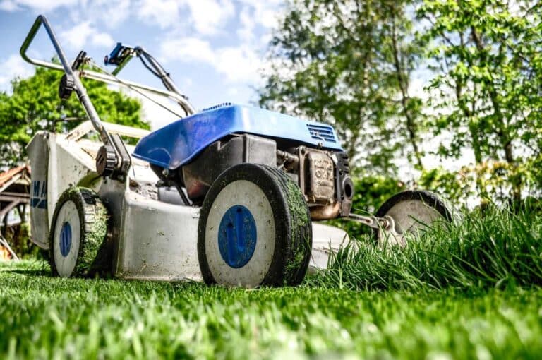 Rasen mähen oder mulchen