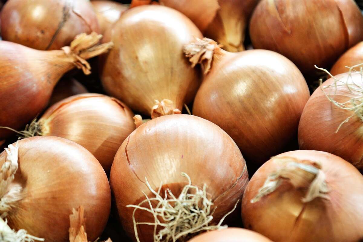 Zwiebeln anbauen im eigenen Garten