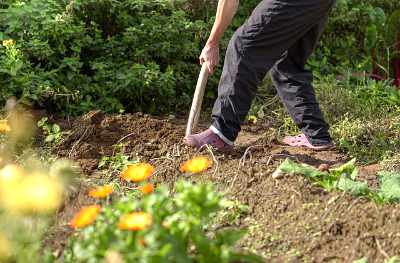 Gärtner beim Umgraben des Beetes